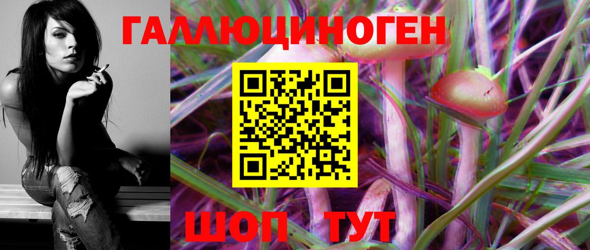 Ишим  где купить наркотик  Вход с VPN  Галлюциногенные грибы MAGIC MUSHROOMS  Псилоцибиновые грибы MAGIC MUSHROOMS 